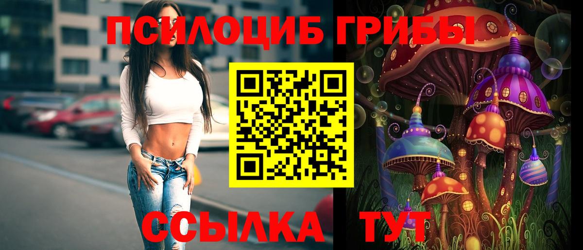 Псилоцибиновые грибы прущие грибы  Вход с VPN  Чебаркуль 