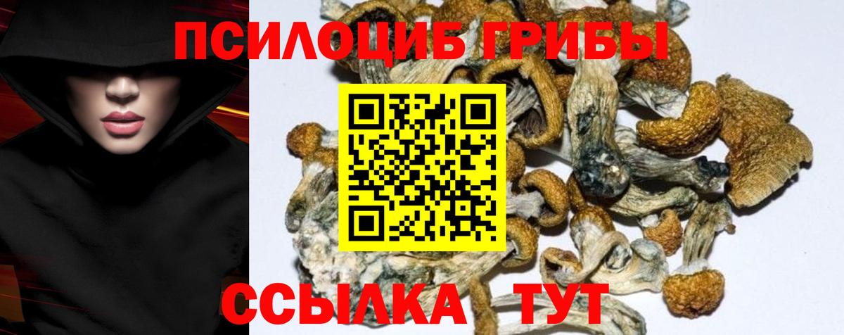 Галлюциногенные грибы MAGIC MUSHROOMS Чебаркуль